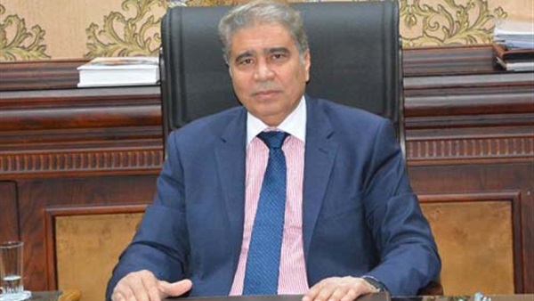 محافظ المنيا