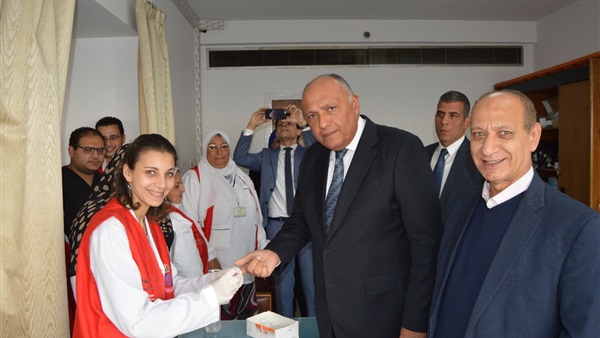 سامح شكرى ومبادرة
