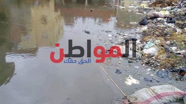 أهالي قرية الروس