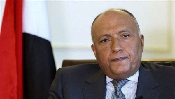 سامح شكرى وزير الخارجية