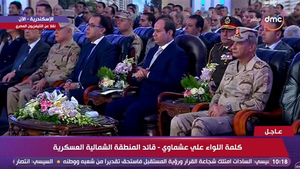الرئيس السيسى وعبدالعزيز