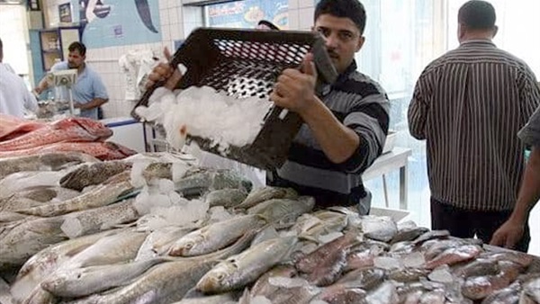 أسعار الأسماك فى