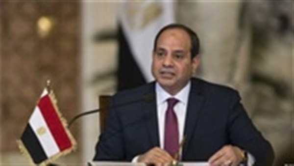 طارق فهمى وانجازات