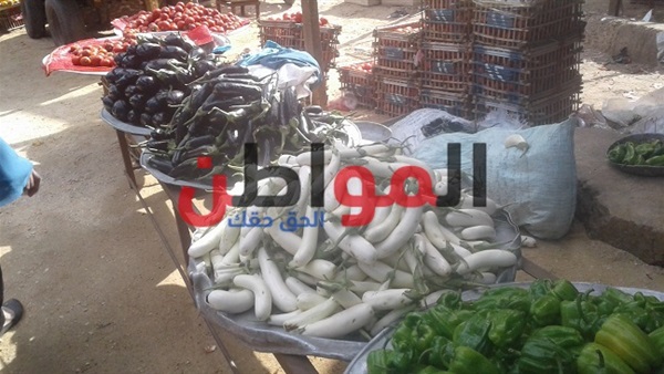 أسعار الخضروات