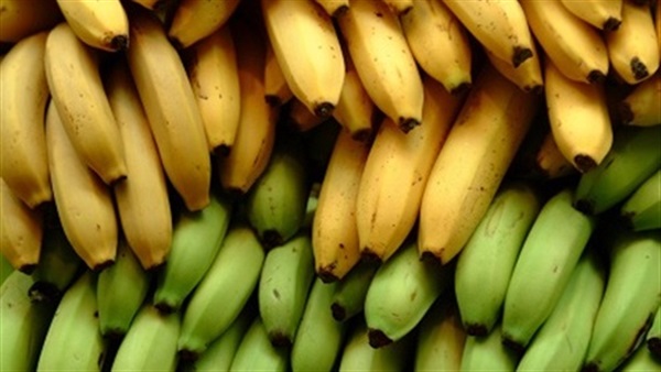 أسعار الموز