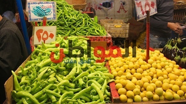 أسعار الخضراوات