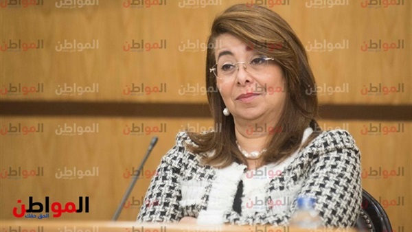 مبادرة الرئيس السيسى