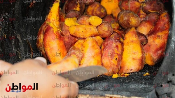 البطاطا في سوهاج