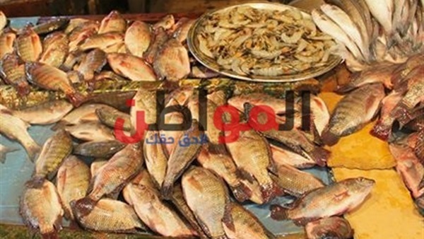 أسعار الأسماك في