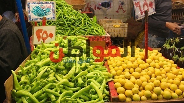 أسعار الخضروات اليوم