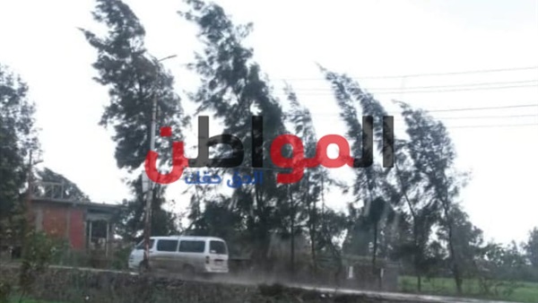 عواصف ترابية باردة