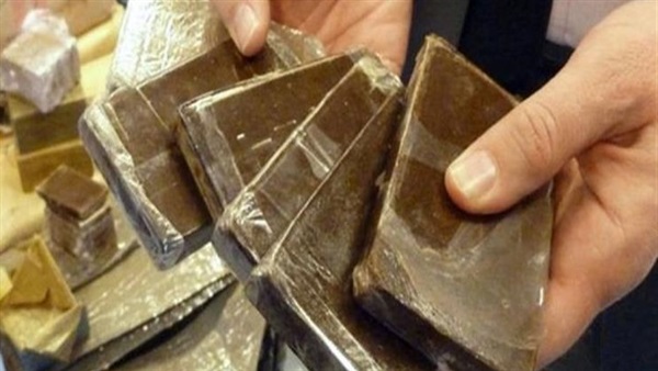 مافيا المخدرات