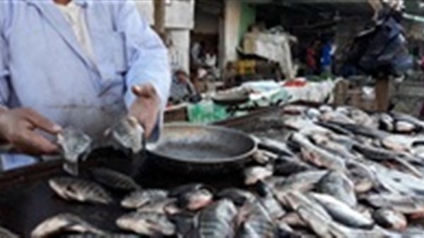 طقس كفر الشيخ