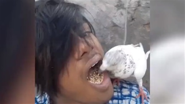 رجل يطعم الحمام