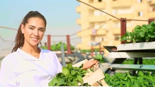 مشروع زراعة الأسطح