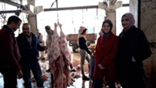 مديرية الطب البيطري