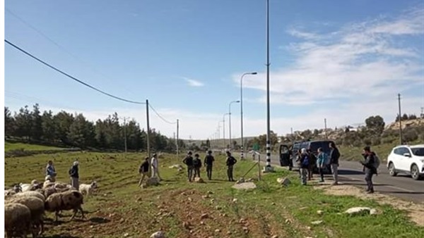 رعاة أغنام فلسطينيين