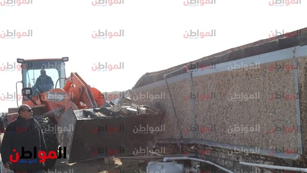 المواطن