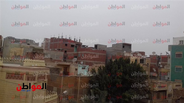 المواطن