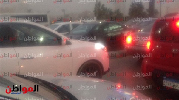 المواطن