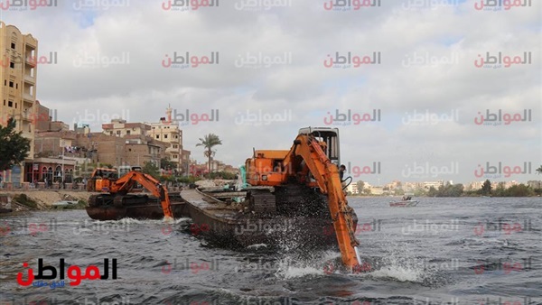 المواطن
