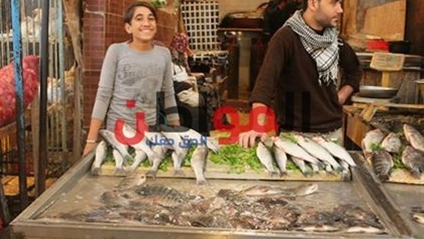 سعر السمك اليوم