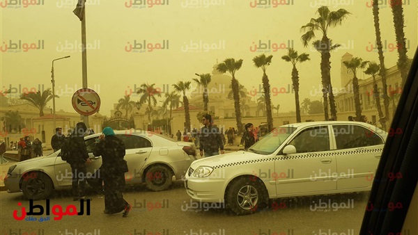 أشجار جامعة القاهرة