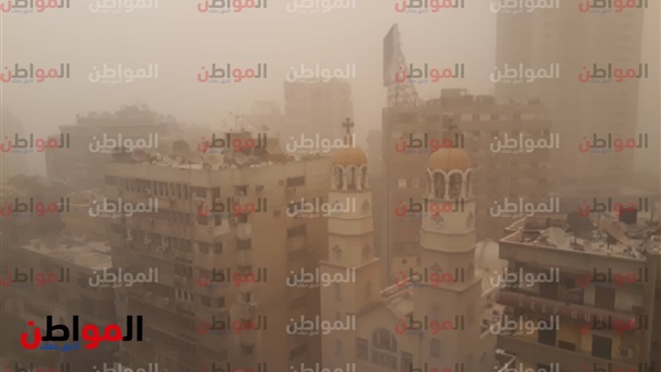 المواطن