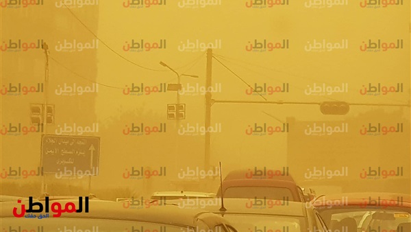 المواطن