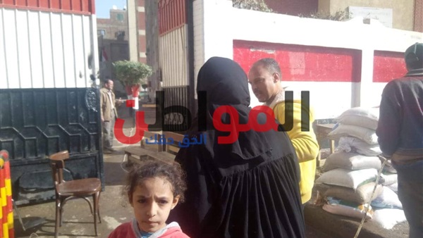 الانتخابات التكميلية