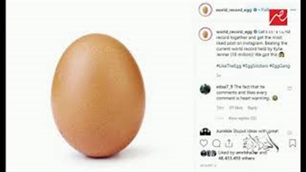 بيضة تحصد 48 مليون