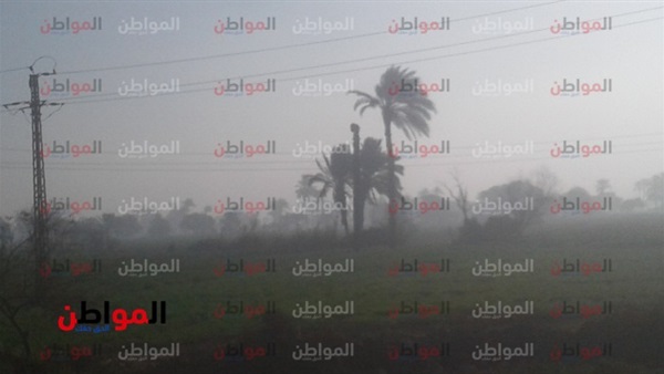 سطوع الشمس ببني سويف