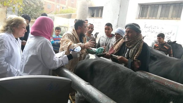 قوافل الطب البيطري