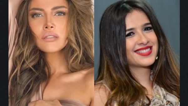 ياسمين عبد العزيز