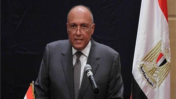 سامح شكرى والأعمال
