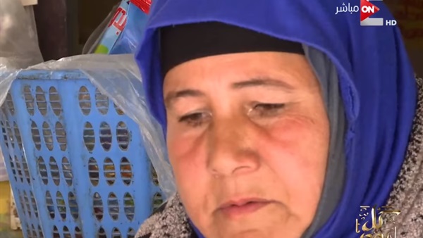 وائل الإبراشى وسيدة