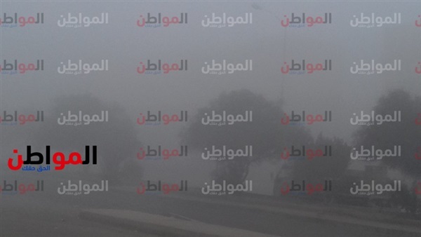شبورة مائية تغطي