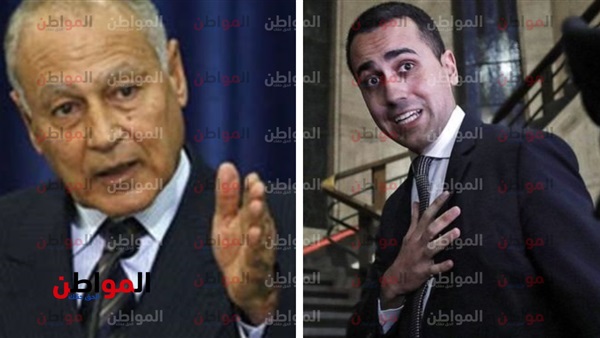 أحمد أبو الغيط ونائب