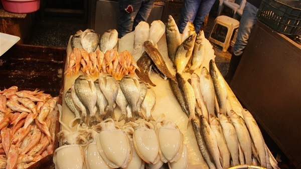 أسعار السمك