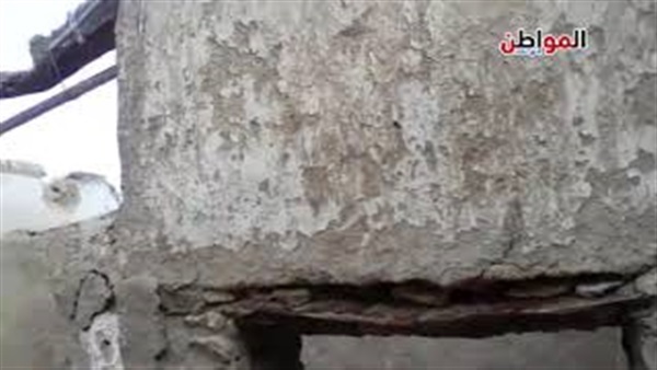 مكافحة النمل الأبيض
