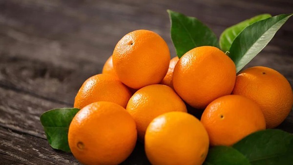 سعر البرتقال اليوم