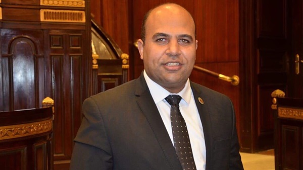 هشام الهمامي