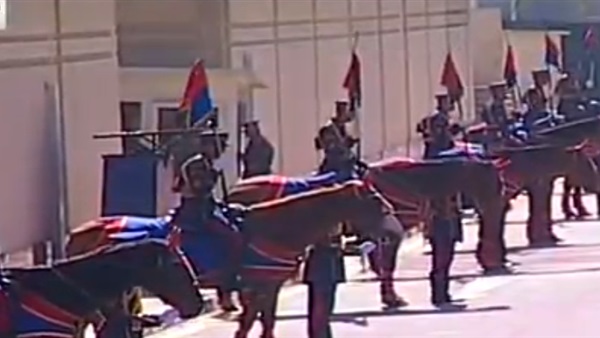 الخيول العربية الأصيلة