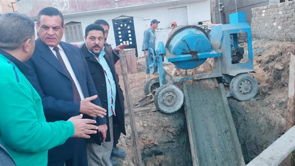 محافظ البحيرة