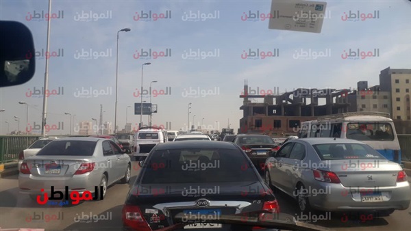 المواطن