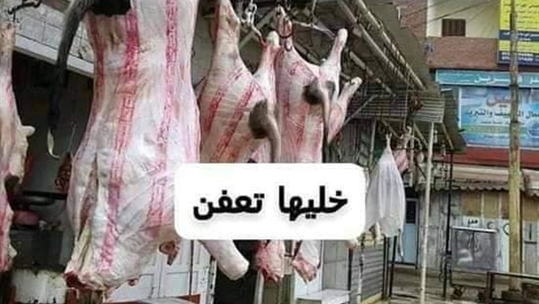 حملة خليها تعفن