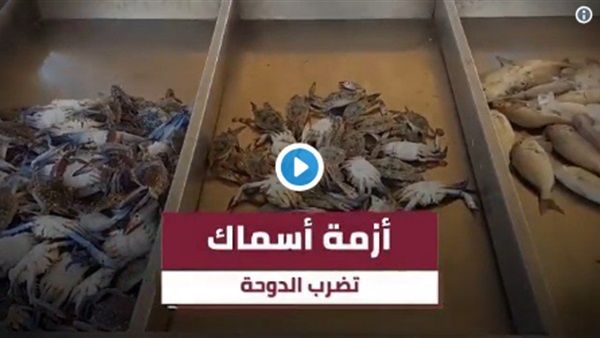 نقص الأسماك فى قطر