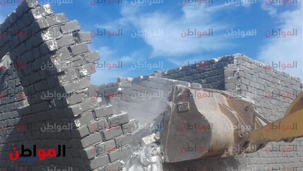 المواطن