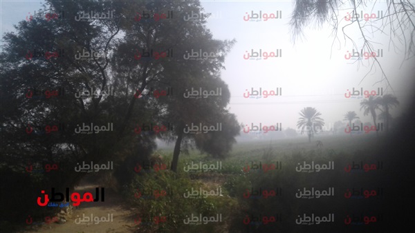 أحوال الطقس ببني