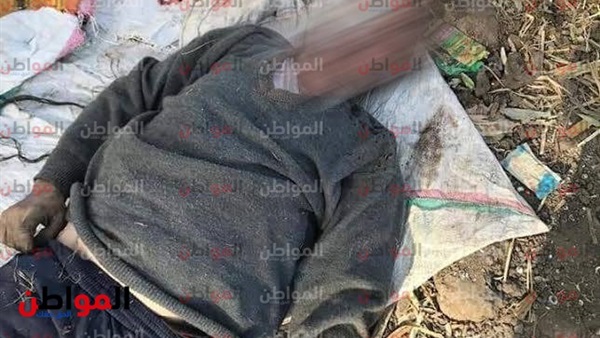 المواطن
